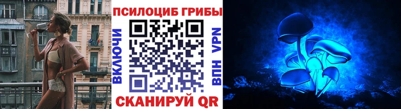 Галлюциногенные грибы мицелий  купить  цена  мега как зайти  Пыть-Ях 